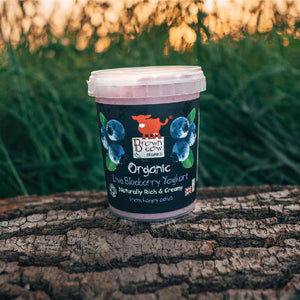  Blueberry Organic Yoghurt