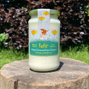 NEW Organic Kefir Natural Yoghurt