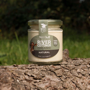 River Cottage Somerset Natural Yoghurt