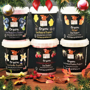Christmas Pack of Yoghurts